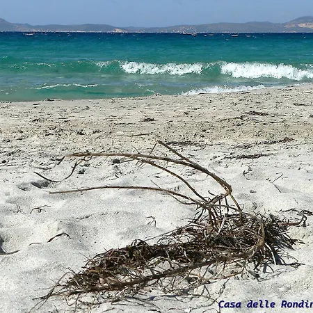 Casa Delle Rondini 펜션 *